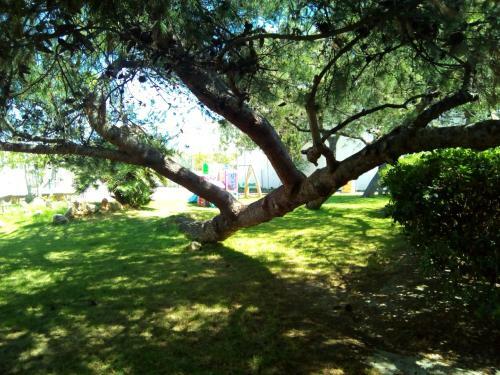 Hotel Marzi Beach And Bungalows