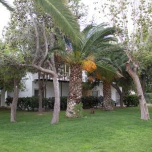 Hotel Marzi Beach And Bungalows