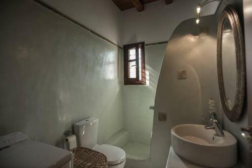 2ag252-house With A Pool In Andros