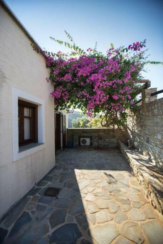 2ag252-house With A Pool In Andros