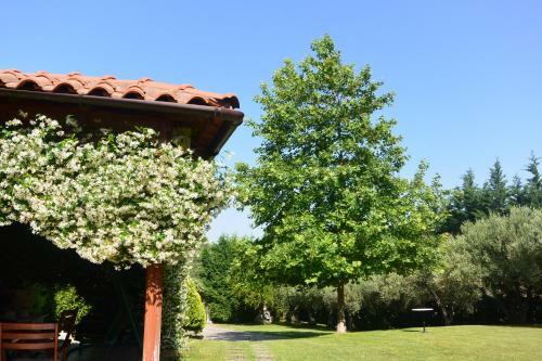 Villa Vintage Luxurious House In Sithonia