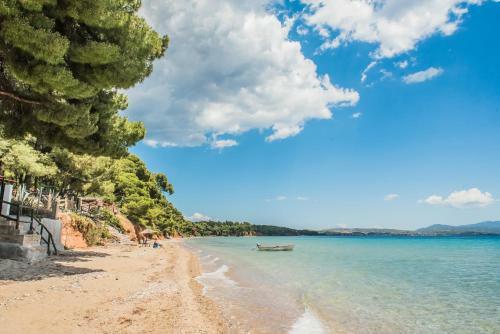 Hostal Citro By The Sea