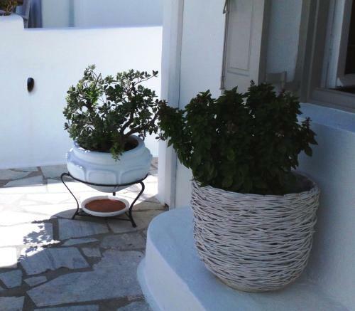 Apartamento Island Mykonos Suites