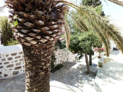 Apartamento Island Mykonos Suites