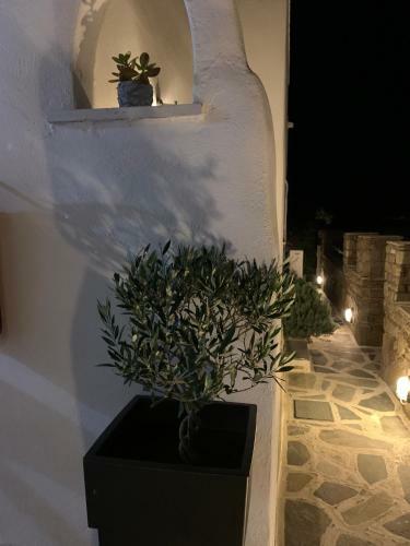 Hotel Sea & Sun Paros