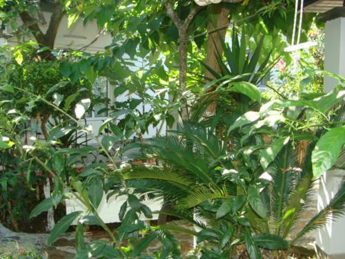 Apartamento Valtos Garden