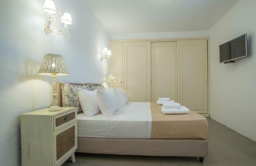Luxury Paros Villa Master Villa Sea View Private Pool 3 Bdr Tserdakia