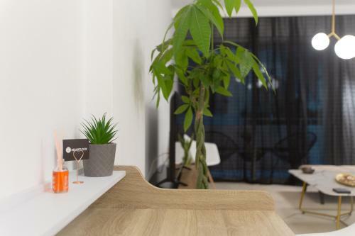 Apartamento The White House