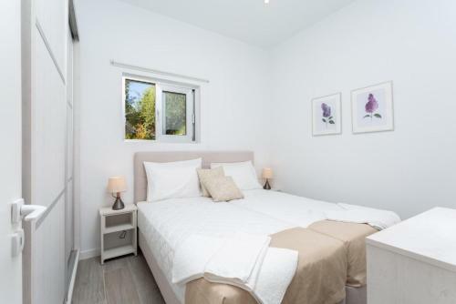 Apartment Casalma Ena
