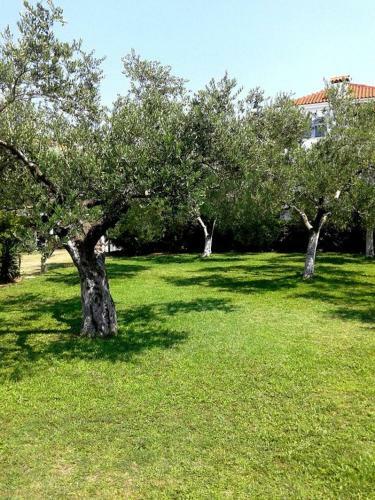 Apartamento San Giorgio