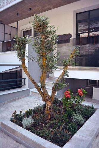Apartamento Zoe _apartments_