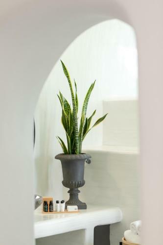 Apartamento Doukas Caldera Suites