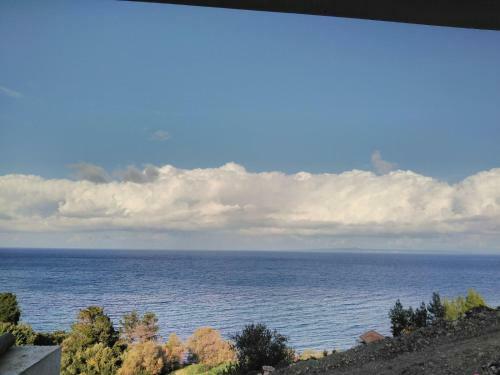 Villa Zante Fiore Suites