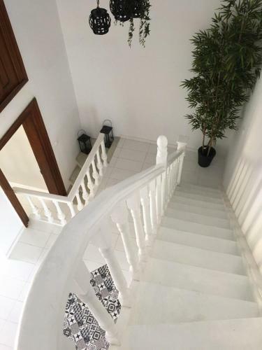 Apartamento Habito Hic