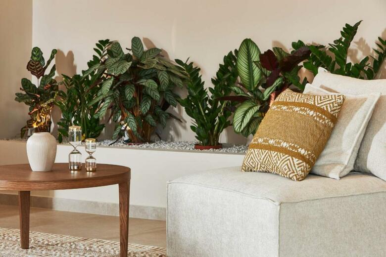 Hotel Vasia Sea Retreat