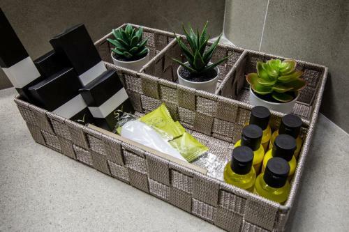 Hotel White Olive Elite Laganas