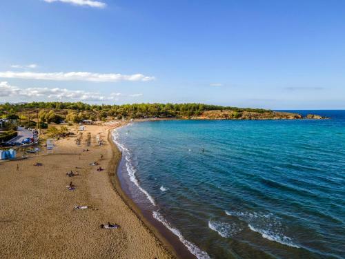 Theos Holidays Apartments