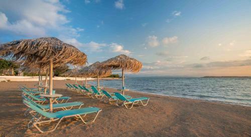 Bed & Breakfast Agistri Apartments