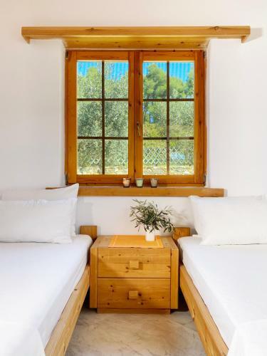 Villa Dreaming Trees Maisonette