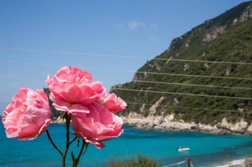 Kandria Golf & Beach Villa