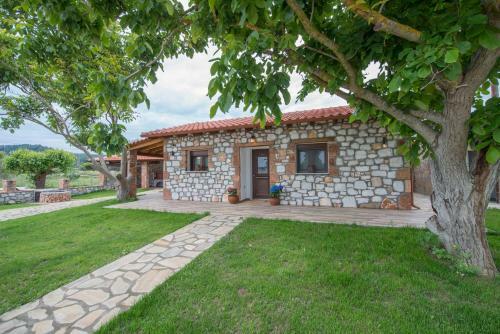 Villa Patiria House