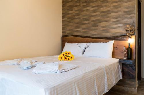 Albergue Oniropetra Pelion Mikro