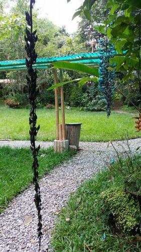 Agroturismo Bel�n Vivero Caf�