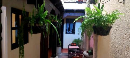 Hotel Vista Al Cerro