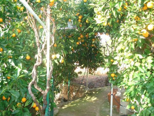 New And Completely Renovated Apartment (5+3)