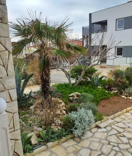 Apartamento Studio In Vir With Wifi