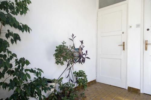 Apartment Miljenko