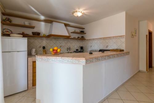 Apartamentos Ivy
