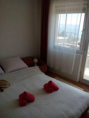 Apartamentos Djurdja Dvorska