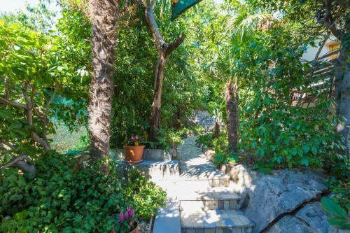 Apartamentos Megy