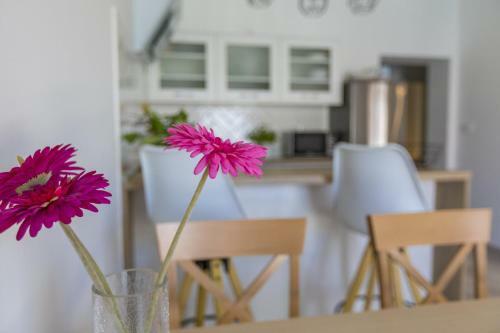 Apartments M And M
