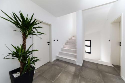 Villa Luxury Magica