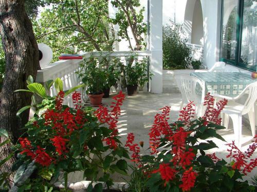 Apartments Sonja - 100 M From Sea