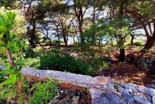 Apartments Jagoda - Next To The Sea