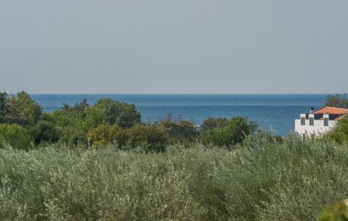 Apartamento Pet Friendly Cottage In Funtana