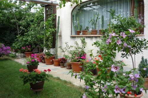 Apartamento Holiday Home 193501