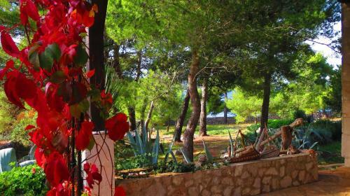 Holiday Home Biserka - Quiet Place
