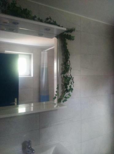 Apartments Darko - Free Parking