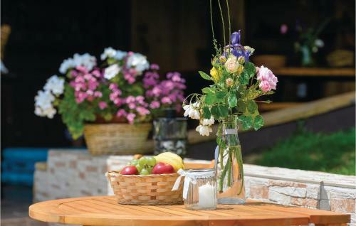 Four-bedroom Holiday Home In Novi Marof