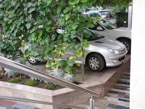 Studio Apartment In Novigrad With Balcony, Air Conditioning, Wifi (4926-2)