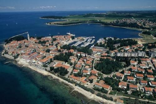 Studio Apartment In Novigrad With Balcony, Air Conditioning, Wifi (4926-2)