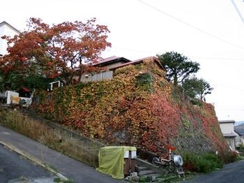The Otarunai Backpacker's Hostel Morinoki
