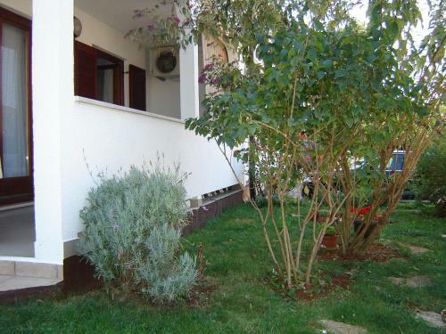 Elena Apartment Ground Floor 1