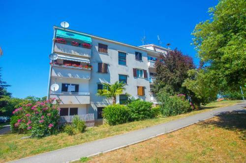 Ground Floor Apartment With Terrace