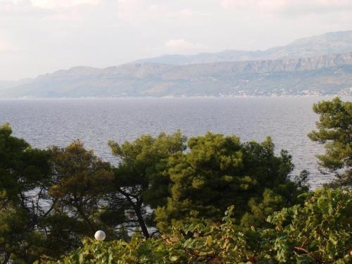 Apartments Jere - Amazing Location