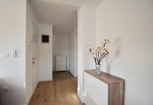 Hostal Apartments Mira